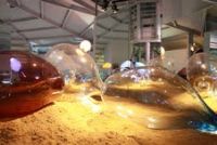 Processus, expo temporaire, Xavier Carrère, sculpteur, souffleur de verre. Du 2 mai au 15 décembre 2013 à Claret. Herault. 